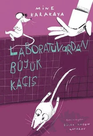 Laboratuvardan Büyük Kaçış – Mine Karakaya – Yeni İnsan Yayınevi kitap kapağı