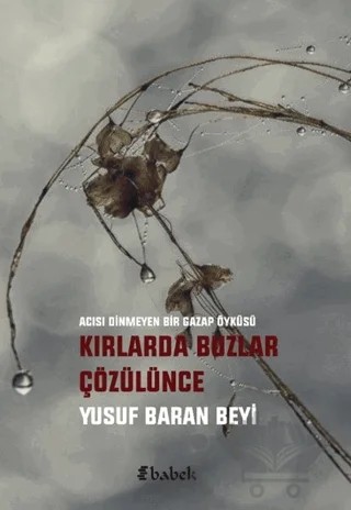 Kırlarda Buzlar Çözülünce – Yusuf Baran Beyi – Babek Yayınları kitap kapağı