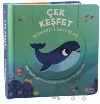 Çek Keşfet Hayvanlar – Kolektif – Masalperest kitap kapağı