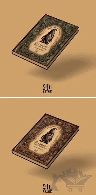 Gnomların Saklı Gerçekleri (Çift Yönlü Kitap) – Seyhan Sancak – 40 Kitap kitap kapağı