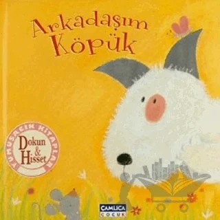 Arkadaşım Köpük – Kolektif – Çamlıca Çocuk Yayınları kitap kapağı
