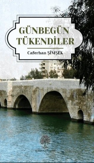 Günbegün Tükendiler – Caferhan Şimşek – Platanus Publishing kitap kapağı