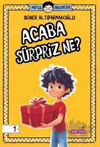 Acaba Sürpriz Ne? – Soner Altıparmakoğlu – Hepsi Çocuk Yayınları kitap kapağı
