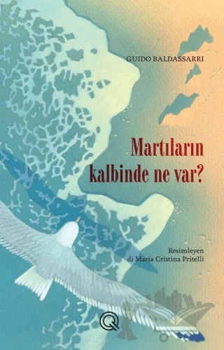 Martıların Kalbinde Ne Var? – Guido Baldassarri – Q Yayınları kitap kapağı