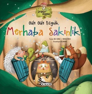Güle Güle Kızgınlık Merhaba Sakinlik – Ana Serna, Henar Inigo – Çiçek Yayıncılık kitap kapağı
