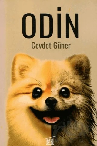 Odin – Cevdet Güner – Filtresiz Kitap kitap kapağı