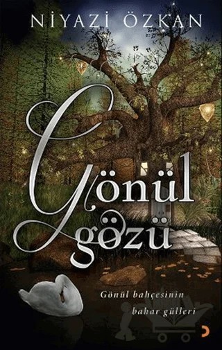 Gönül Gözü – Niyazi Özkan – Cinius Yayınları kitap kapağı