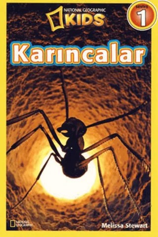Karıncalar - Seviye 1 – Melissa Stewart – Beta Kids kitap kapağı