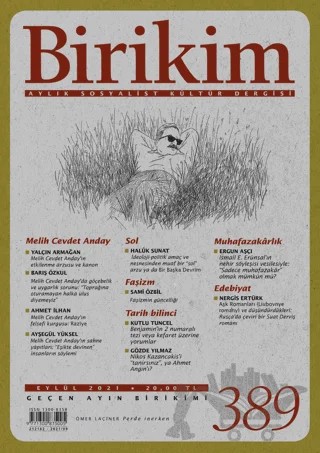 Birikim Aylık Sosyalist Kültür Dergisi Sayı: 389 Eylül 2021 – Birikim Yayınları kitap kapağı