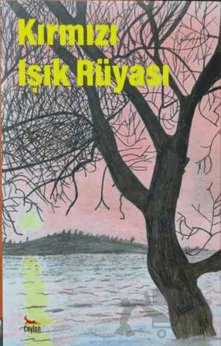 Kırmızı Işık Rüyası – Kolektif – Ceylan Yayınları kitap kapağı