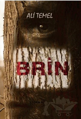 Brin – Ali Temel – Liman Yayınevi kitap kapağı