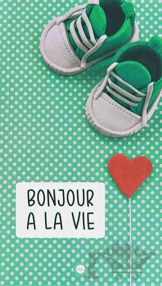 Bonjour a la Vie (Hayata Merhaba) Fransızca – Kolektif – Diyanet İşleri Başkanlığı kitap kapağı