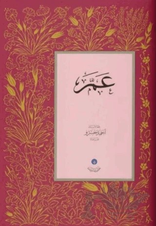 Amme Cüzü (Orta Boy - Kod: MH0066) – Kolektif – Hayrat Neşriyat kitap kapağı