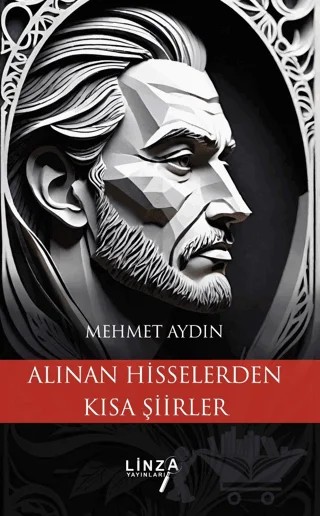 Alınan Hisselerden Kısa Şiirler – Mehmet Aydın – Linza Yayınları kitap kapağı