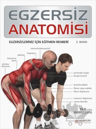 Egzersiz Anatomisi – Pat Manocchia – Akıl Çelen Kitaplar kitap kapağı