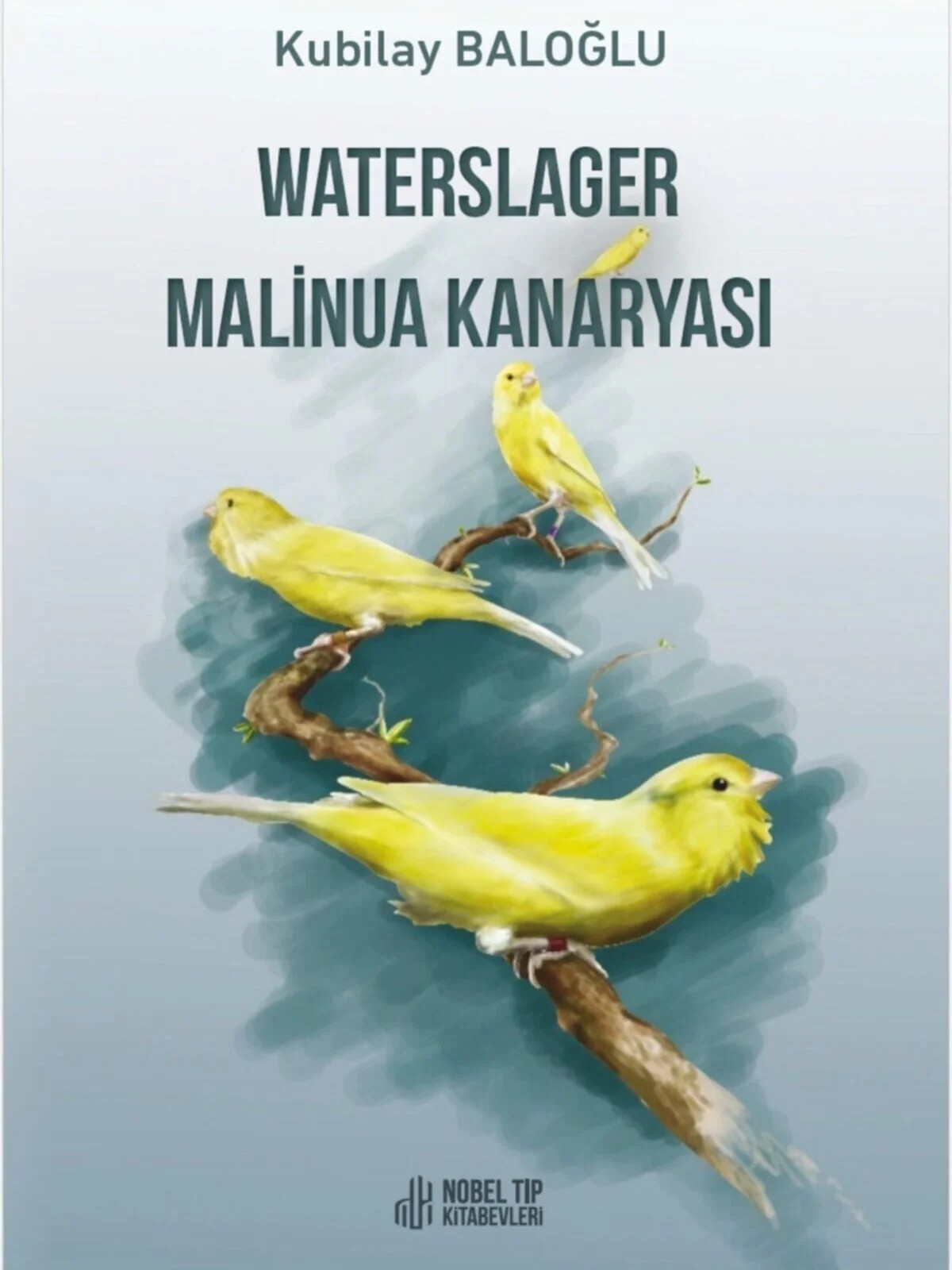 Waterslager Malinua Kanaryası: Ötümü-Bakımı-Eğitimi-Beslenmesi ve Hastalıkları – - – Nobel Tıp Kitabevleri kitap kapağı