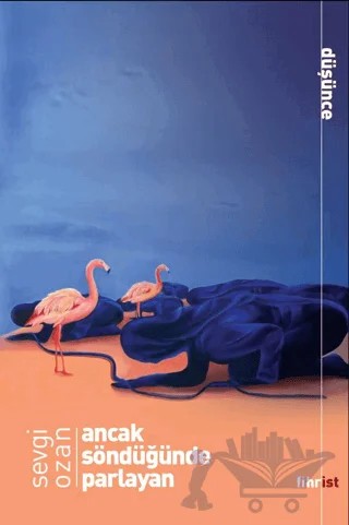 Ancak Söndüğünde Parlayan – Sevgi Ozan – Fihrist Kitap kitap kapağı