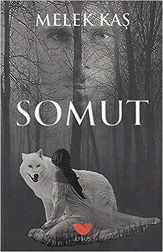 Somut – Melek Kaş – Efsus Yayınları kitap kapağı