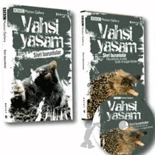 Vahşi Yaşam-Sivri Burunlular – Kolektif – Boyut Yayın Grubu kitap kapağı