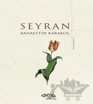 Seyran – Bahaettin Karakoç – Nar Yayınları kitap kapağı