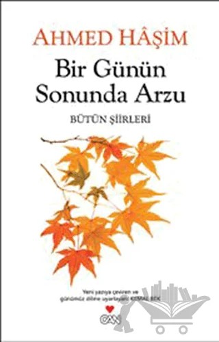 Bir Günün Sonunda Arzu – Ahmed Haşim – Can Yayınları kitap kapağı