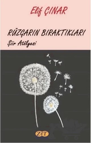 Rüzgarın Bıraktıkları - Şiir Atölyesi – Elif Çınar – Zet Yayınları kitap kapağı