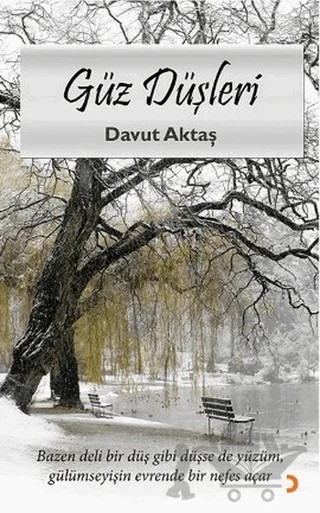 Güz Düşleri – Davut Aktaş – Cinius Yayınları kitap kapağı