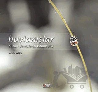 Huylanışlar – Necip Evlice – Öncü Kitap kitap kapağı