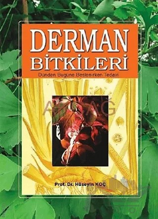 Derman Bitkileri Dünden Bugüne Beslenirken Tedavi – Hüseyin Koç – Akçağ Yayınları kitap kapağı