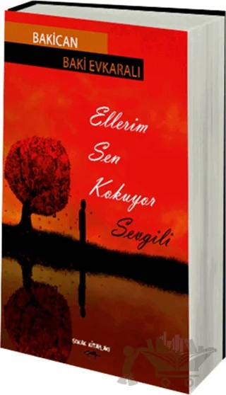 Ellerim Sen Kokuyor Sevgili – Baki Evkaralı – Sokak Kitapları Yayınları kitap kapağı
