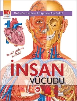 İnsan Vücudu – Kolektif – Beyaz Balina Yayınları kitap kapağı