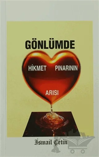 Gönlümde Hikmet Pınarının Arısı – İsmail Çetin – Dilara Yayınları kitap kapağı