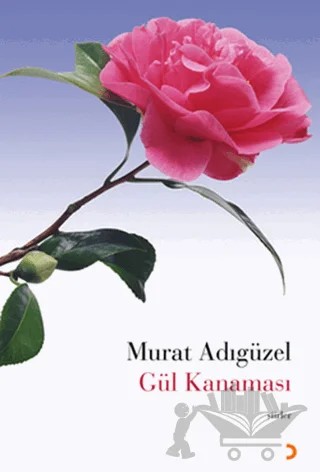 Gül Kanaması – Murat Adıgüzel – Cinius Yayınları kitap kapağı