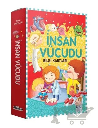 İnsan Vücudu Bilgi Kartları – Kolektif – Teleskop Popüler Bilim kitap kapağı