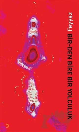 Bir-Den Bire Bir Yolculuk – Feyyaz – Cinius Yayınları kitap kapağı
