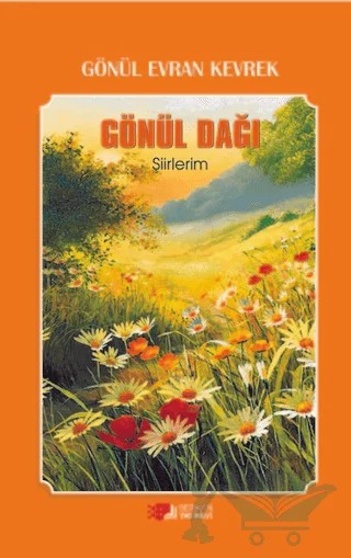 Gönül Dağı – Gönül Evran Kevrek – Berikan Yayınevi kitap kapağı