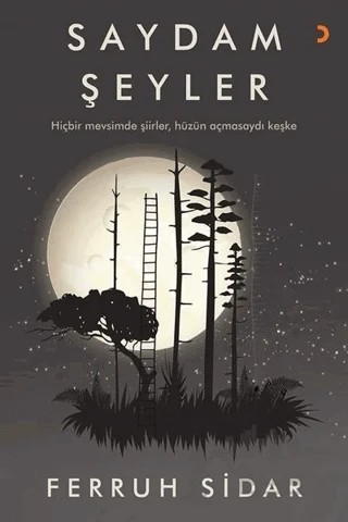 Saydam Şeyler – Ferruh Sidar – Cinius Yayınları kitap kapağı