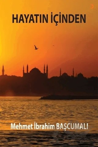 Hayatın İçinden – Mehmet İbrahim Başcumalı – Cinius Yayınları kitap kapağı
