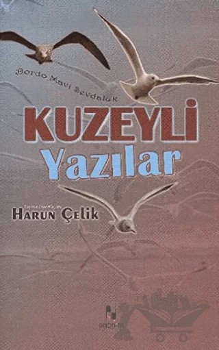 Kuzeyli Yazılar – Harun Çelik – Anonim Yayıncılık kitap kapağı