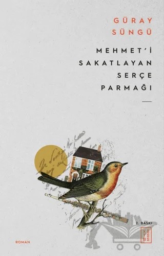 Mehmet'i Sakatlayan Serçe Parmağı – Güray Süngü – Ketebe Yayınları kitap kapağı