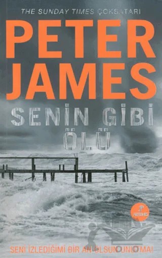 Senin Gibi Ölü – Peter James – Artemis Yayınları kitap kapağı