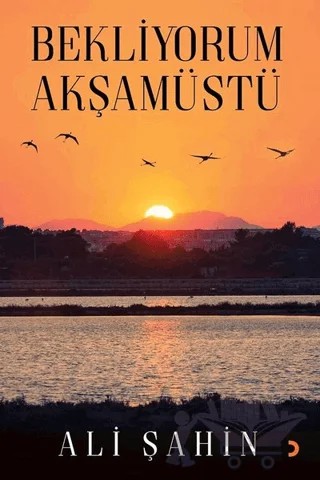 Bekliyorum Akşamüstü – Ali Şahin – Cinius Yayınları kitap kapağı