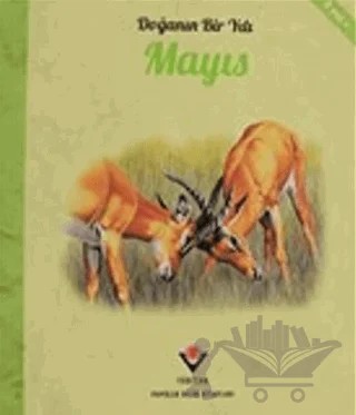Doğanın Bir Yılı - Mayıs – Ruth Symons – TÜBİTAK Yayınları kitap kapağı