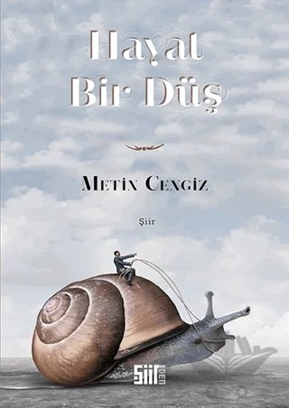 Hayat Bir Düş – Metin Cengiz – Şiirden Yayıncılık kitap kapağı