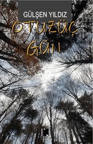 Otuzüç Gün – Gülşen Yıldız – Nitelik Kitap kitap kapağı