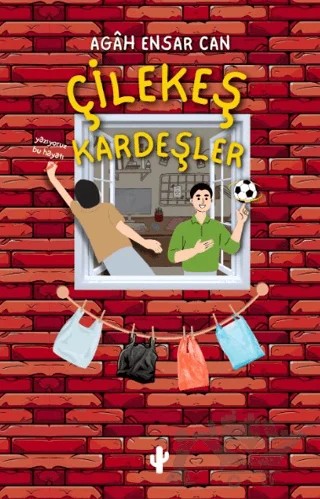 Çilekeş Kardeşler – Agah Ensar Can – Kaktüs Sanat kitap kapağı