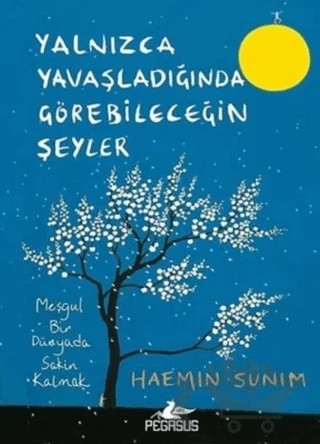 Yalnızca Yavaşladığında Görebileceğin Şeyler – Haemin Sunim – Pegasus Yayınları kitap kapağı