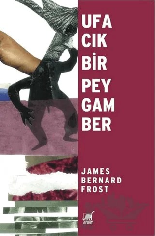 Ufacık Bir Peygamber – James Bernard Frost – Ayrıntı Yayınları kitap kapağı