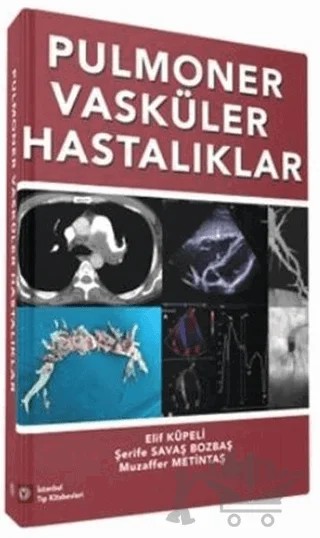 Pulmoner Vasküler Hastalıklar – Muzaffer Metintaş, Şerife Savaş Bozbaş – İstanbul Tıp Kitabevi kitap kapağı