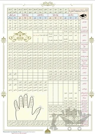 Emsile Bina Şeması – Kolektif – Salih Kitaplar kitap kapağı